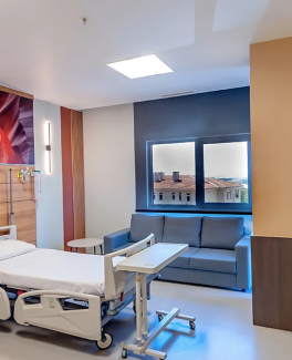 Surgical Procedures Performed