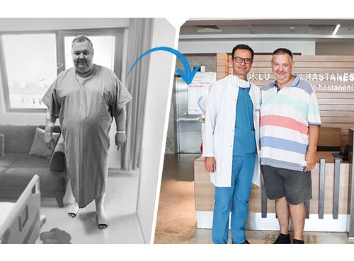 Yılan Yapısı 683189317