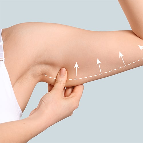 Yılan Yapısı 1268962651