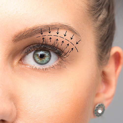 Yılan Yapısı 443050754