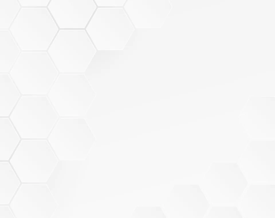 Hakkımızda Yılan Yapısı 1068200710