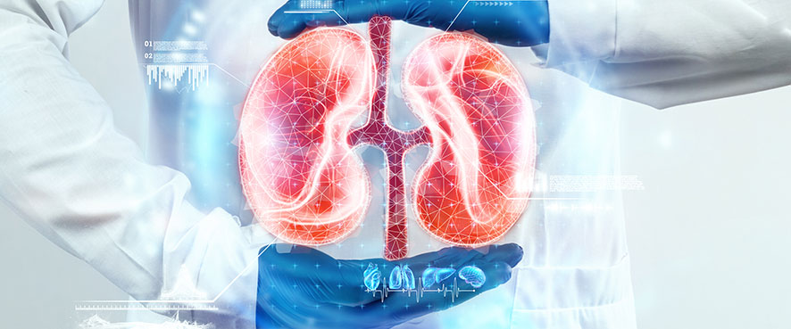 Kidney Pain: Causes, Symptoms and Treatment in Turkey