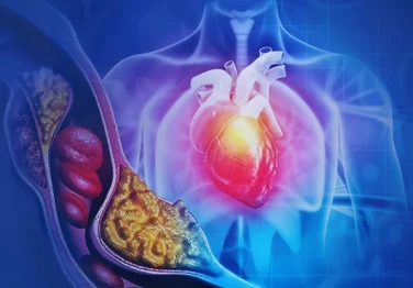 Cholesterol: Enemy or Loyal Friend of Our Body?