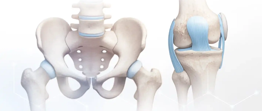 Robotic Technologies in Orthopedic Surgery