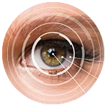 Eye Health and Periocular Aesthetics